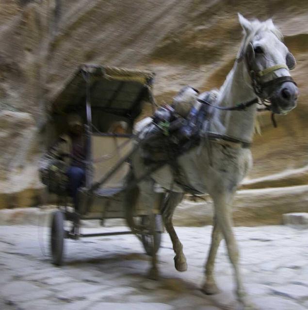 Petra IMGP3683.jpg